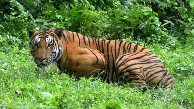 sandipkale82's tweet photo. India tiger census shows population growth.
#census #censo #demographics #l #ibge #pesquisa #demography #demografia #retratarobrasil #ibgeemcampo #censosemcensura #emdefesadocenso #assibge #desenvolvimentosustentavel #semcortes #todospelocenso #censosemcortes #realestate https://t.co/kQRNeksGg8