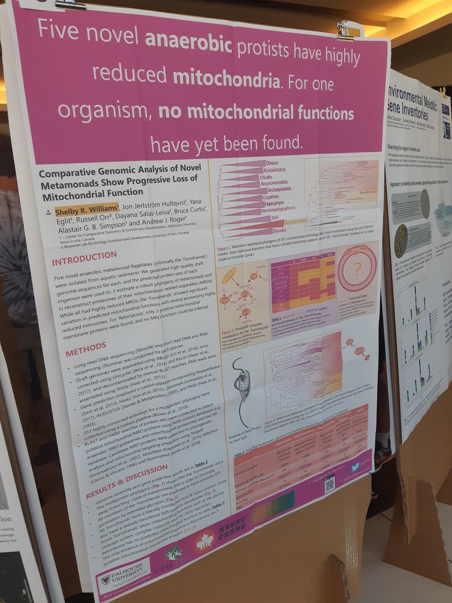 retortacarp's tweet photo. Rome trip day 2:
Coffee - drank
Poster - up
Me - still half asleep
#ecop2019 https://t.co/EIipYJnHvp
