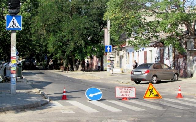 В центре Херсона перекрыто движение - обрезают деревья #Херсон #новости news.irr.ua/d/324E7