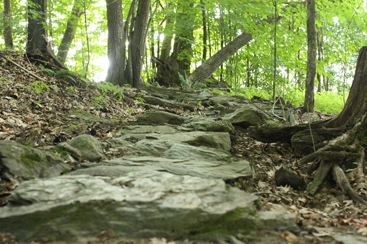 What happens at Catamount - activity by the numbers - mailchi.mp/catamountoutdo…