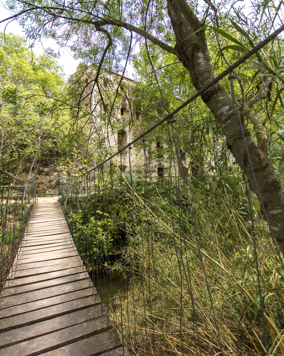 Turissenia's tweet photo. 🌿 El Molí la Vella, a la vora del riu de la Sénia, tingué una funció industrial molt important en el passat, sempre lligada al riu. 
👉 Visites: https://t.co/CTdzzBLIt8
.
@catexperience @terresebretur @ComarcaMontsia https://t.co/QIyhORUyO4