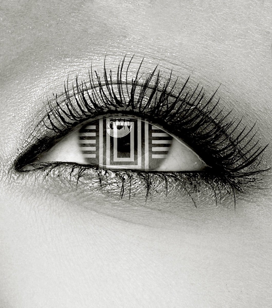 Lotusier tweet media