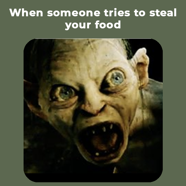 _WillyWallace's tweet photo. My precious !!! 🍝🍞🍫
⠀⠀⠀⠀⠀⠀⠀⠀⠀
Is that your reaction too?😤
⠀⠀⠀⠀⠀⠀⠀⠀⠀
👉 Tap on the link in our bio and book your room in the heart of Stirling! 
⠀⠀⠀⠀⠀⠀⠀⠀⠀
#mememonday⠀ https://t.co/cR9TkrI3Ie