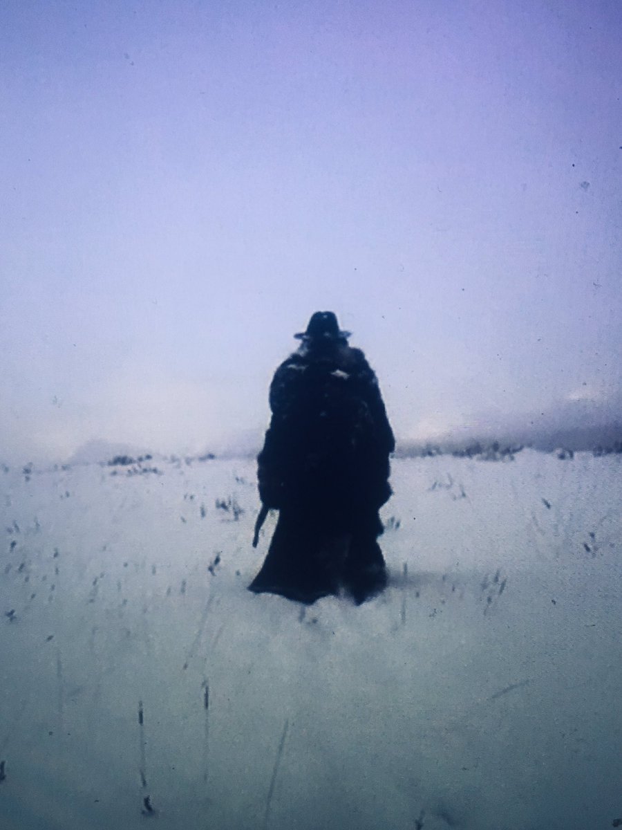 Tobin Lush tweet media