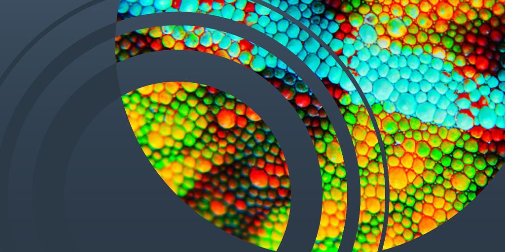 .@OctopusGrp and Loudhouse have identified three different types of product launch: the Chameleon, the Columbus and the Cuckoo... hubs.ly/H0j-WH10 #b2bresearch #b2bproductlaunch