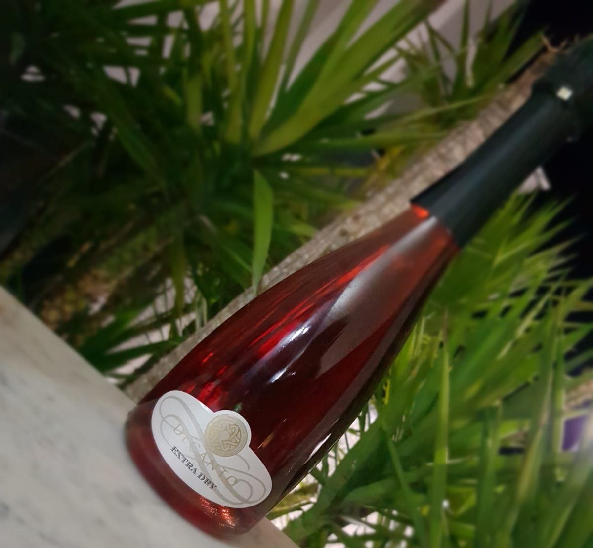Vinologi.it - Il Blog del Vino italiano – Italian Wine Blog: DECANTO. Sua maestà il Nero di Troia!

vinologi.it/2019/07/decant…

#wine #winelover #winelovers #vino #vinos #vinho #vin #vini #wines #winetime #winetasting #winestagram #wineporn #wineoclock #winery  #redwine