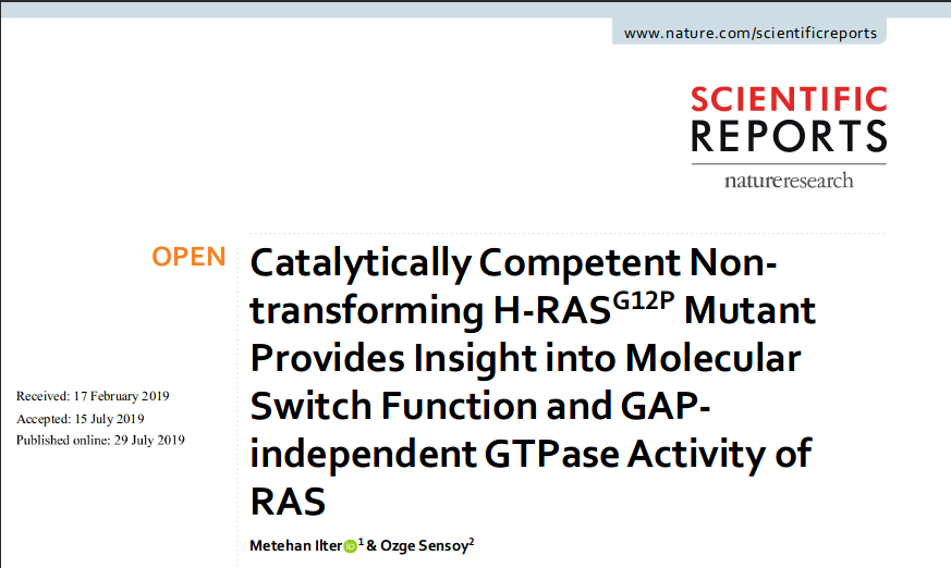 New paper out from our lab 🖥️