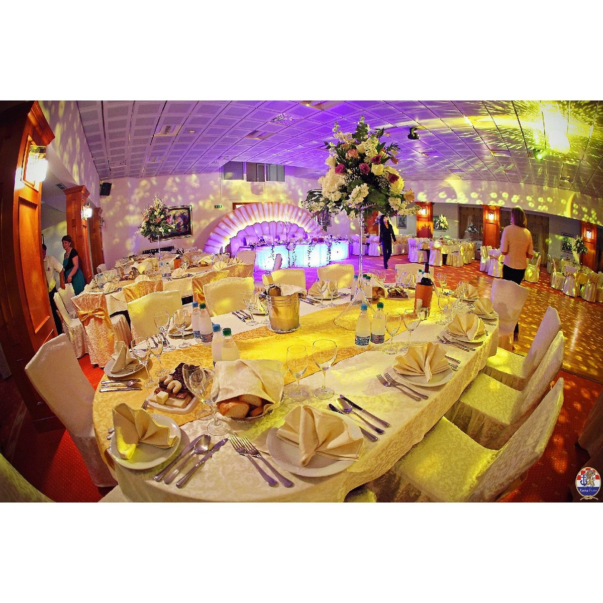 Weddings in Frapa tweet media