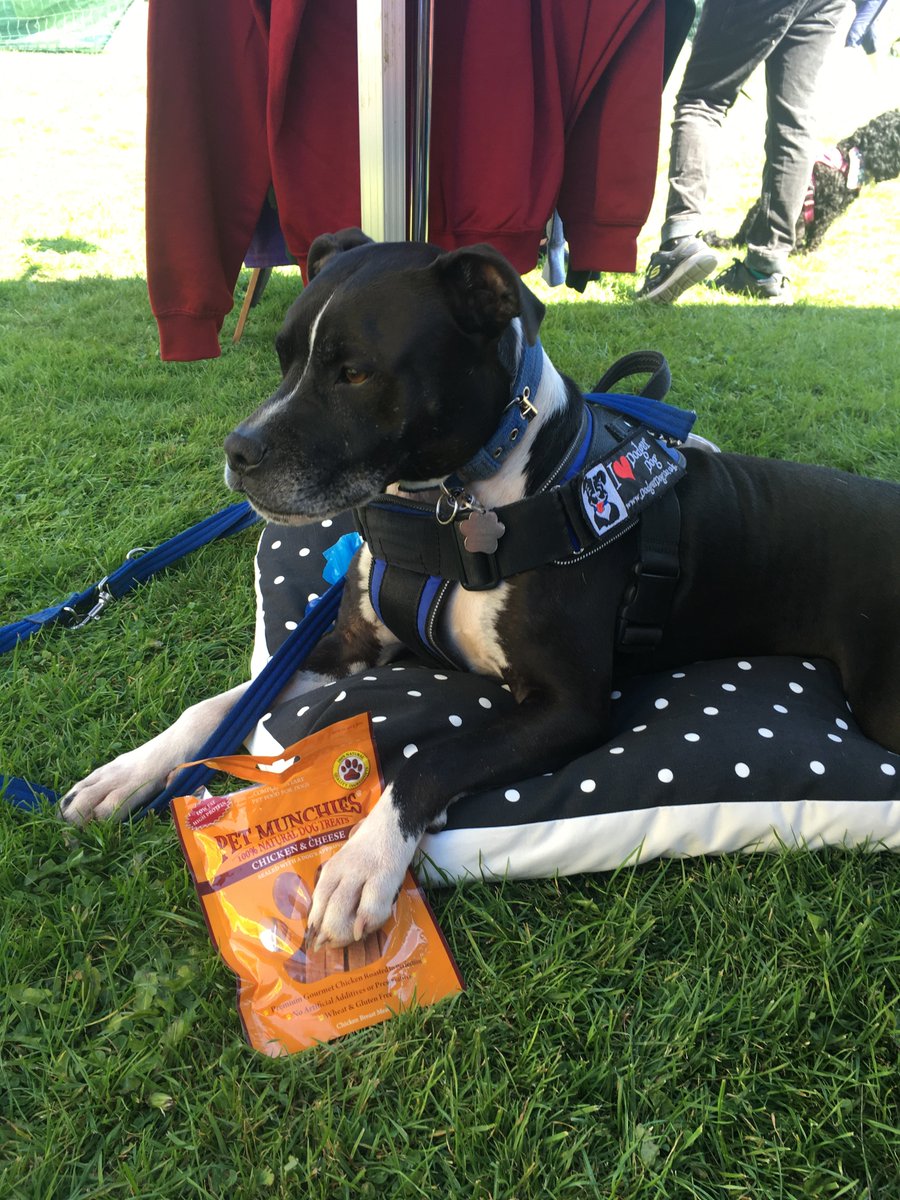 #win #giveaway of #PetMunchies #natural #dog  #pet #treats  #dogtreats  #dogs #competition #dogsoftwitter #chicken #cheese  follow &amp; RT 2enter by 5th august