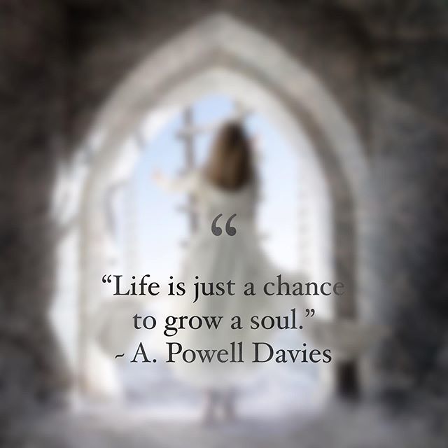 KellyLongArt's tweet photo. Loving this little quote this morning! I hope you enjoy it too ✨
-
-
-
-
Copyright: Zylphafineartphotography © 
#photomontage
#instaquotes
#zylphafineart
#artphotography
#fineart_photo
#finearts
#artgallery
#fineartphotographer
#instaartwork
#instaar… https://t.co/oYrypq2PA2 https://t.co/XzyrVkAbik