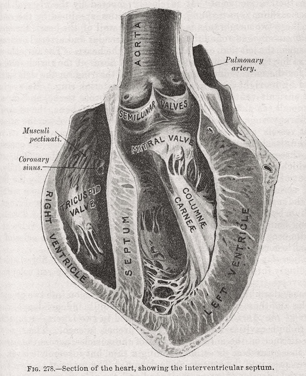 philip white tweet media