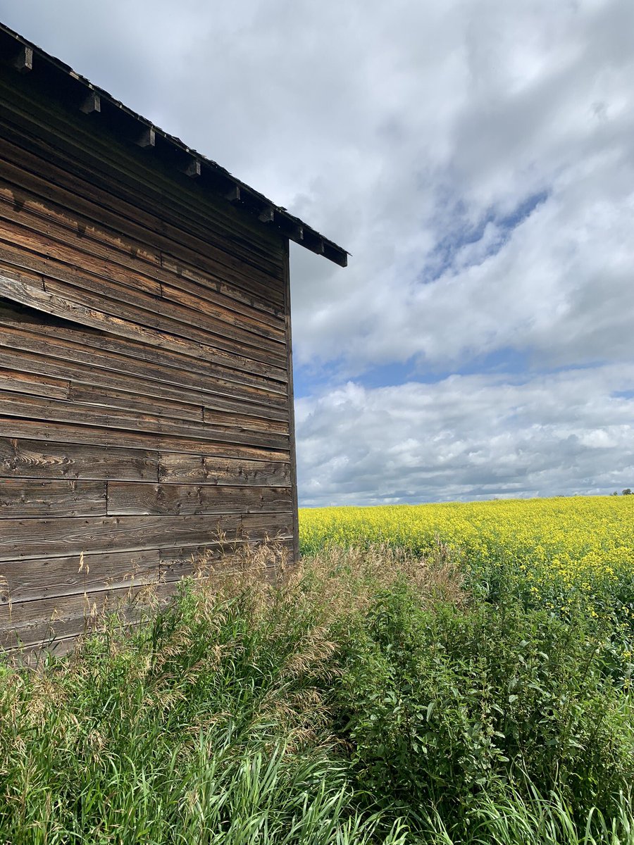 #albertastrong  #lamontalberta