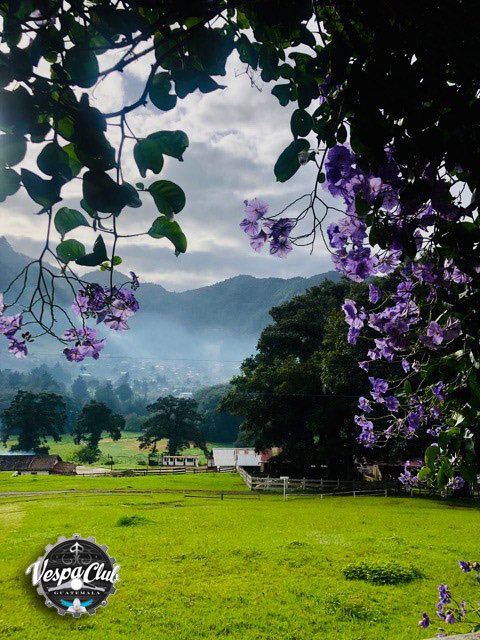 VespaVCG's tweet photo. Así amanecía en #MilAmores #Acul #Quiché
#GuatemalaEnVespa @InguatPrensa @JorgemaChajon #VespaLovers @Vespapics #TheGirlsWhoRide @PaseoGuatemala
@stepintocities @BasilyCo @fodorstravel @GuiaRepsol @CNTraveler @lonelyplanet https://t.co/QmZsWO9o4K