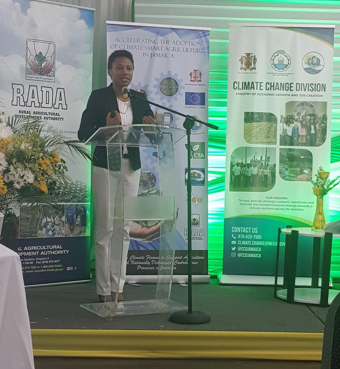 Madam Adaptation @CcdJamaica delivering her engaging presentation on the #GlobalClimateChange  #theprocess #NDCs and #KJWA @OluyedeAjayi  @CTAflash @CTABrussels #jamaica #ClimateActionNow