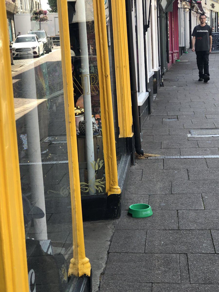 Just love love love this sight! #dogbowls #dogfriendlybse #dogfriendlytakeover #burystedmunds