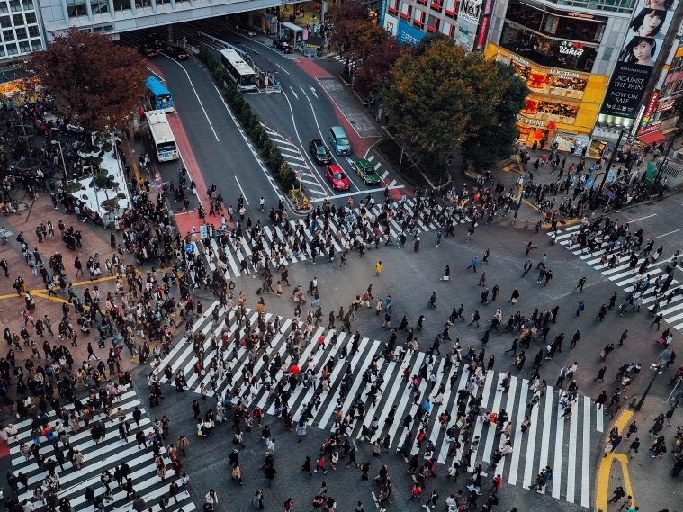 Sur le blog, vous trouverez mon article sur #Tokyo, un guide par quartiers 💙 #japon liliinwonderland.fr/visiter-tokyo-…