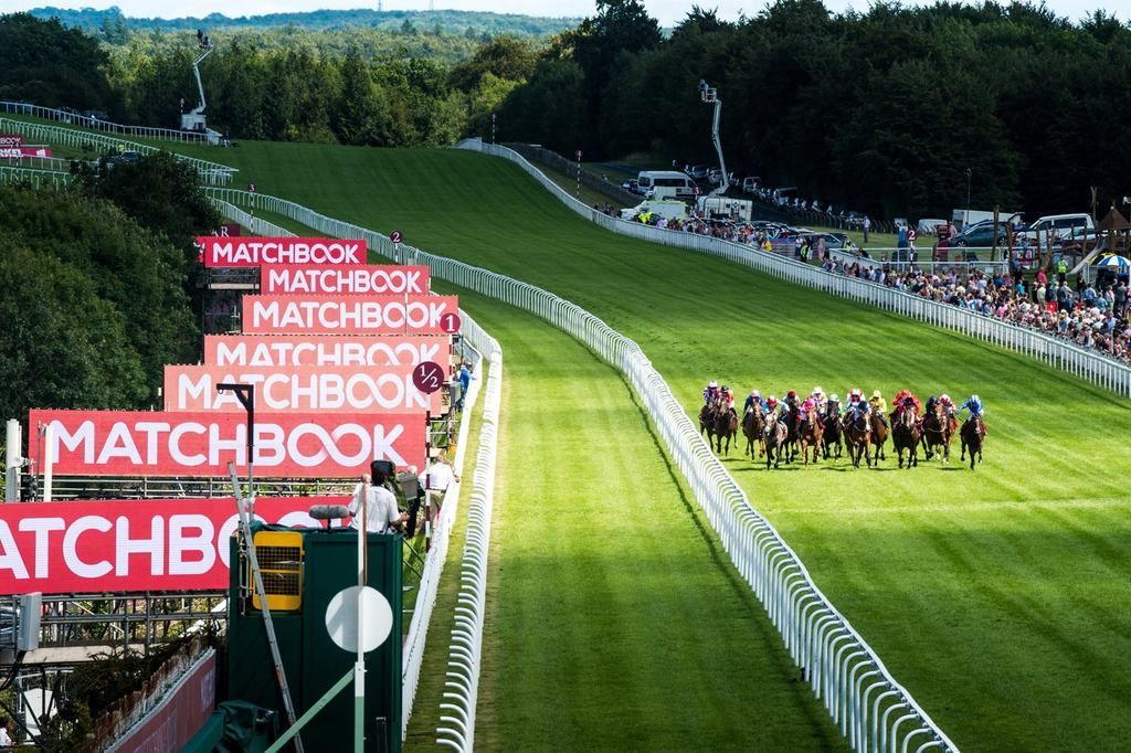 hpetips's tweet image. The Glorious Goodwood Festival starts tomorrow if you'd like to get the best betting tips visit our app HPE
It will provide you with the best tips and allow you to chat to fellow members =D