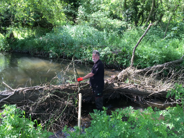 EnvAgencySE's tweet photo. Now you see it, now you don't! #NorthfleetFieldTeam removed a tree blockage from the #RiverDarent in #Kent https://t.co/9x1CfZaTD2