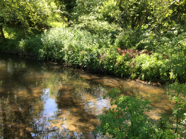 EnvAgencySE's tweet photo. Now you see it, now you don't! #NorthfleetFieldTeam removed a tree blockage from the #RiverDarent in #Kent https://t.co/9x1CfZaTD2
