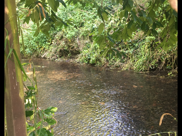 EnvAgencySE's tweet photo. Now you see it now you don't part 2. Our #NorthfleetFieldTeam removed a blockage that was reported by a member of the public on the #RiverDarent near the high street in #Otford https://t.co/ZalPy1VrEO
