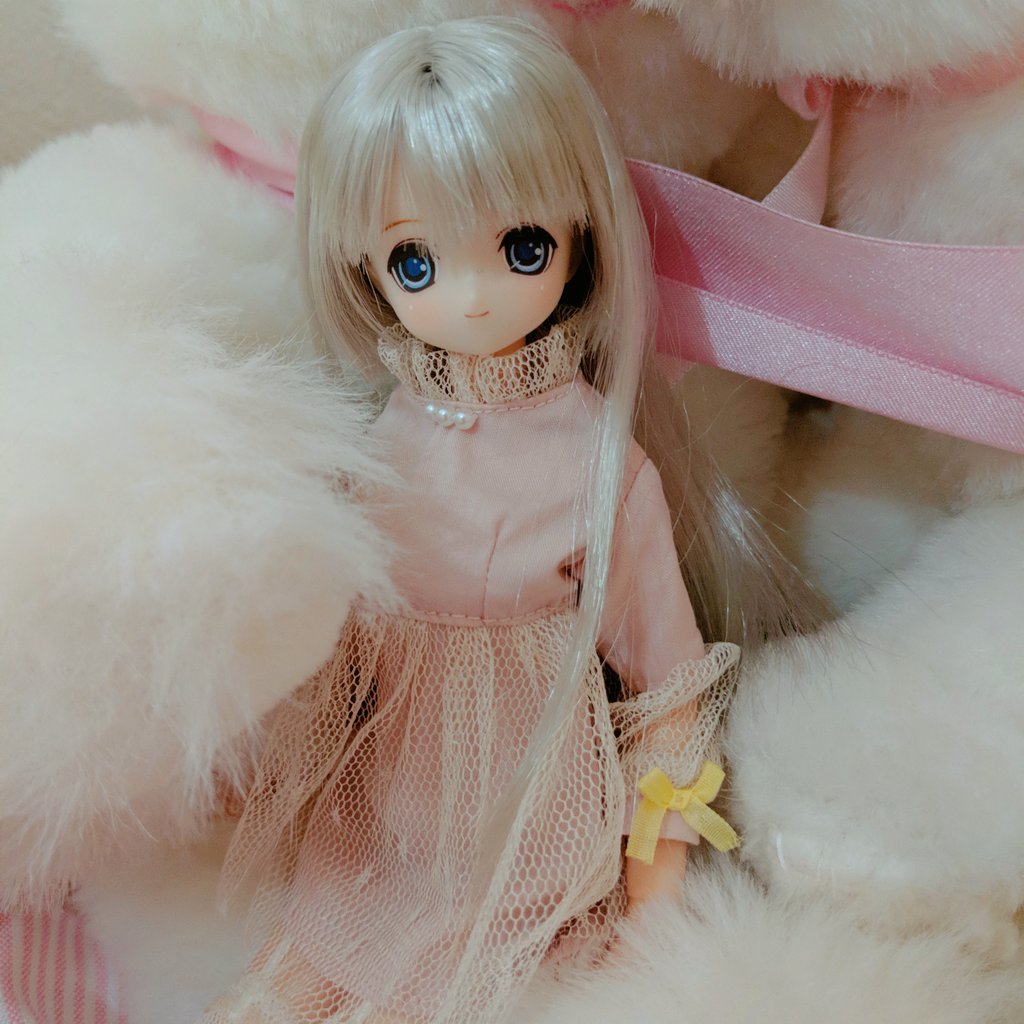 awa_mallon's tweet photo. ひめのちゃんハッピーバースデー🎁🌟透明感あるグレーヘアはひめのさんだけなので、お写真撮ってるとうっとりします😊
#HimenoBirthday https://t.co/j3sU7NVwTb