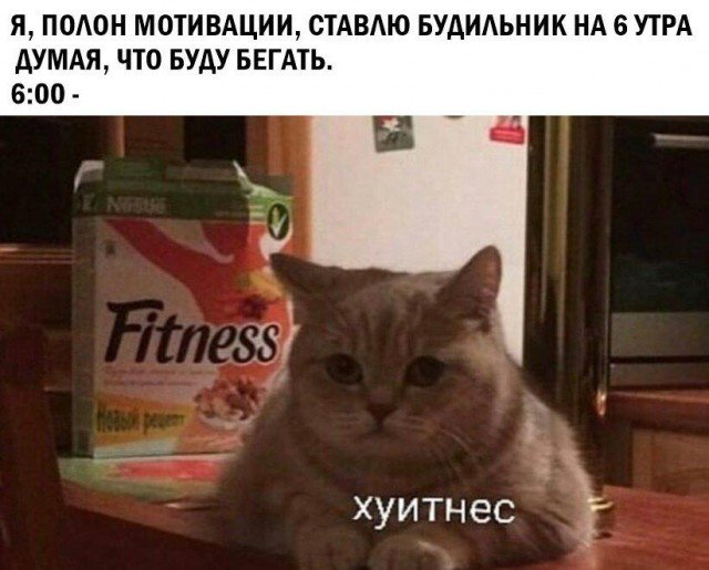 EApCN_XWkAEhMoZ?format=jpg&name=small