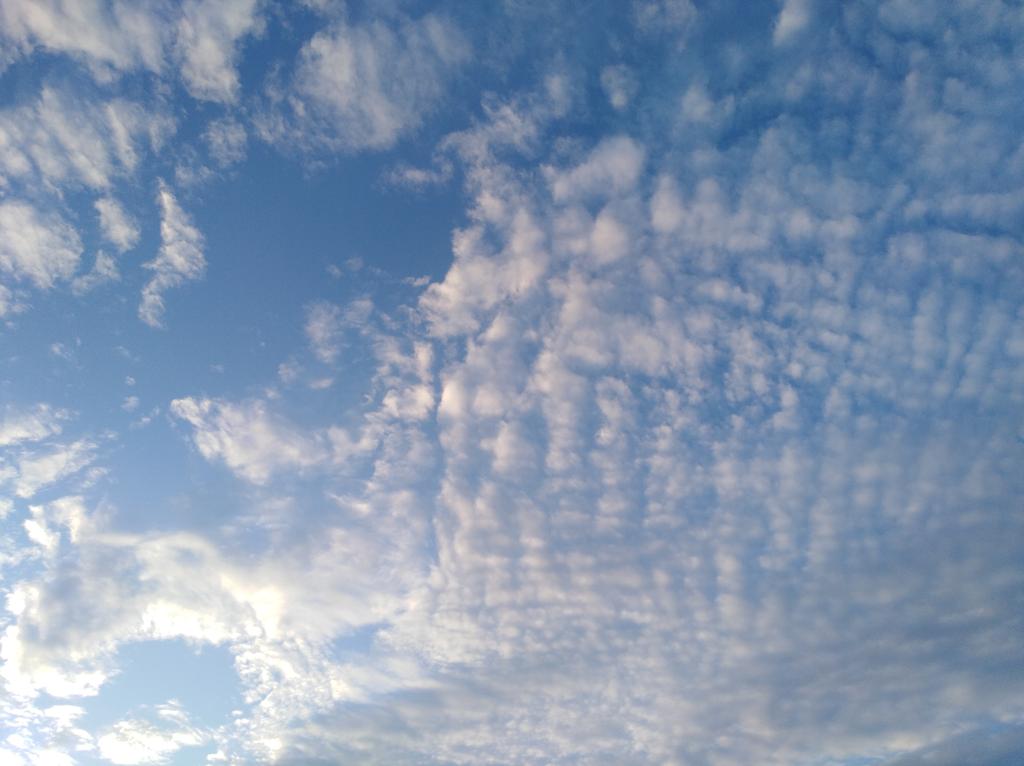 _thananya.a_ tweet media