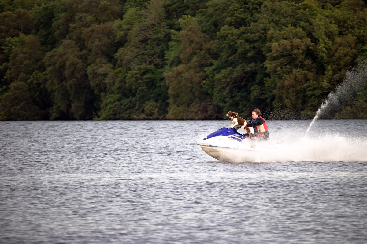 purplebee's tweet photo. It's amazing the things you can see on Lough Erne when you least expect it... #dog #doglovers #fermanagh #jetski @WeatherCee https://t.co/yElaZuwhgo