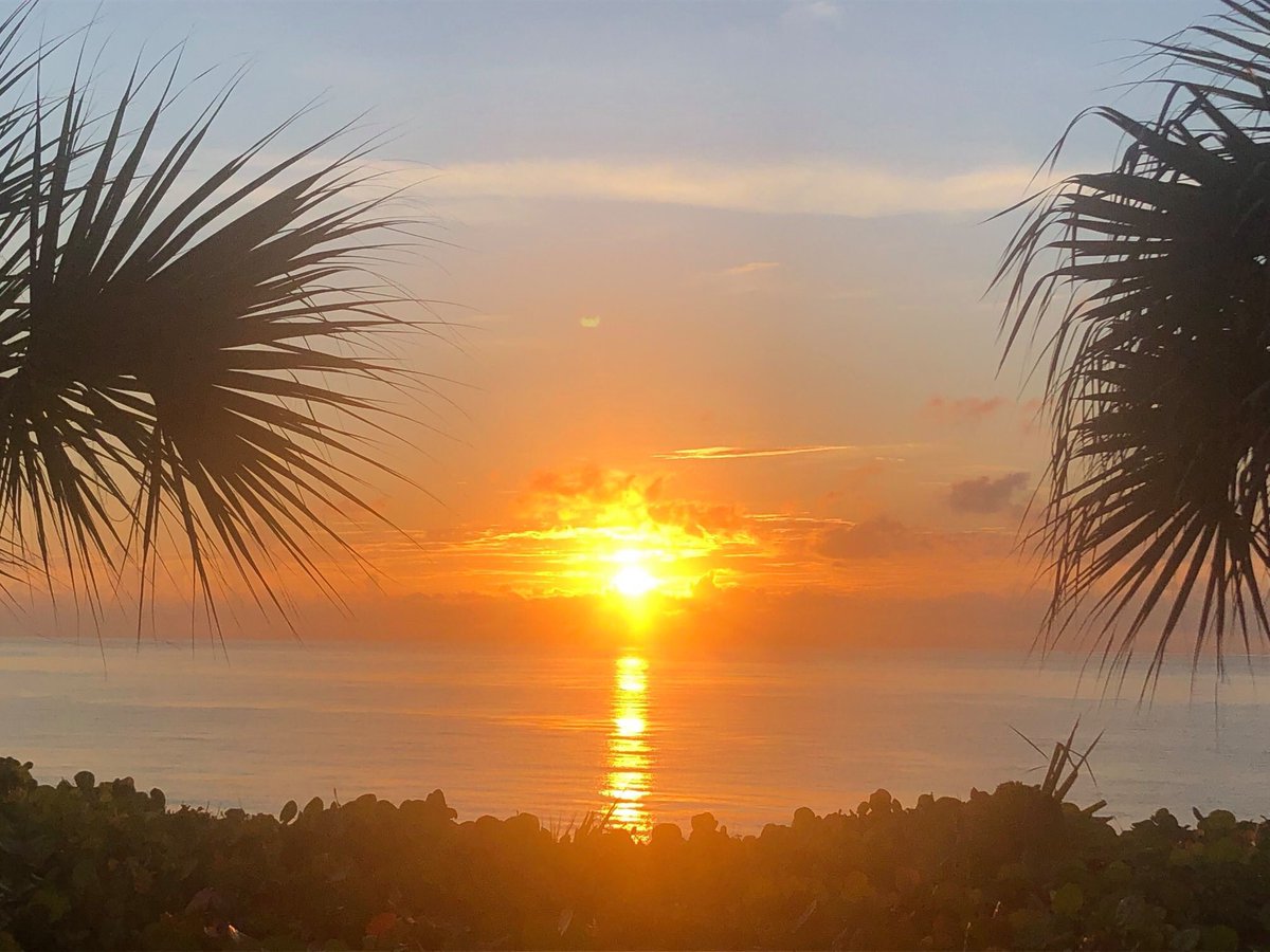 ProMarkconcepts's tweet photo. It's a new Day, it's a new Week!
It's time to dominate social media!
Contact ProMark TODAY!
Call 561-352-4458
https://t.co/pWsXyLX0VC
.
#SocialMediaMarketing #DigitalMarketing #PalmBeach #DelrayBeach #BoyntonBeach #Florida #FacebookAdvertising #FacebookAds #InstagramAdvertising https://t.co/wmyJvGFQS5