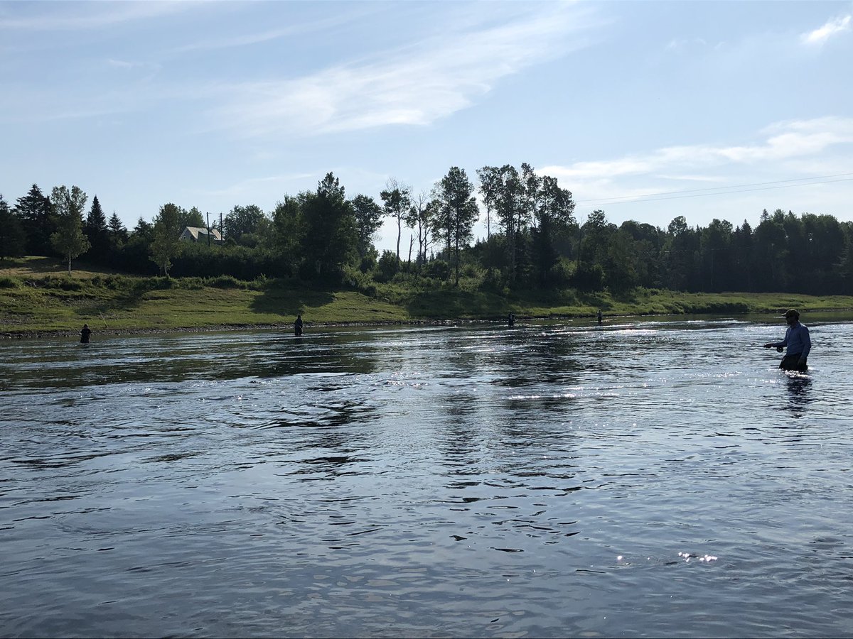 MVHSFlyFishing's tweet photo. #ASCSN2019 Day 2... we have 6 mixed groups fishing the Southwest Miramichi and Cains this morning.  Great to have 🇨🇦 🇺🇸 🏴󠁧󠁢󠁳󠁣󠁴󠁿 students fishing together with Miramichi guides.  @Discovery @DestinationNB @BlackvilleNB @IYS_Atlantic #yearofthesalmon https://t.co/D37y2YBDFD