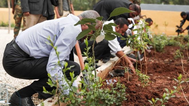 esayasmsd's tweet photo. We planted >224 millions Trees, since this morning. #GoEthiopia #GoGreen #GreenLegacy #WorldRecordBroken I am extremely happy to be a part of this historic moment of reserving the nature, #HealthyEthiopia @FMoHealth planting a lot bcz Health has much to do with green environment https://t.co/TakFAVCAlh