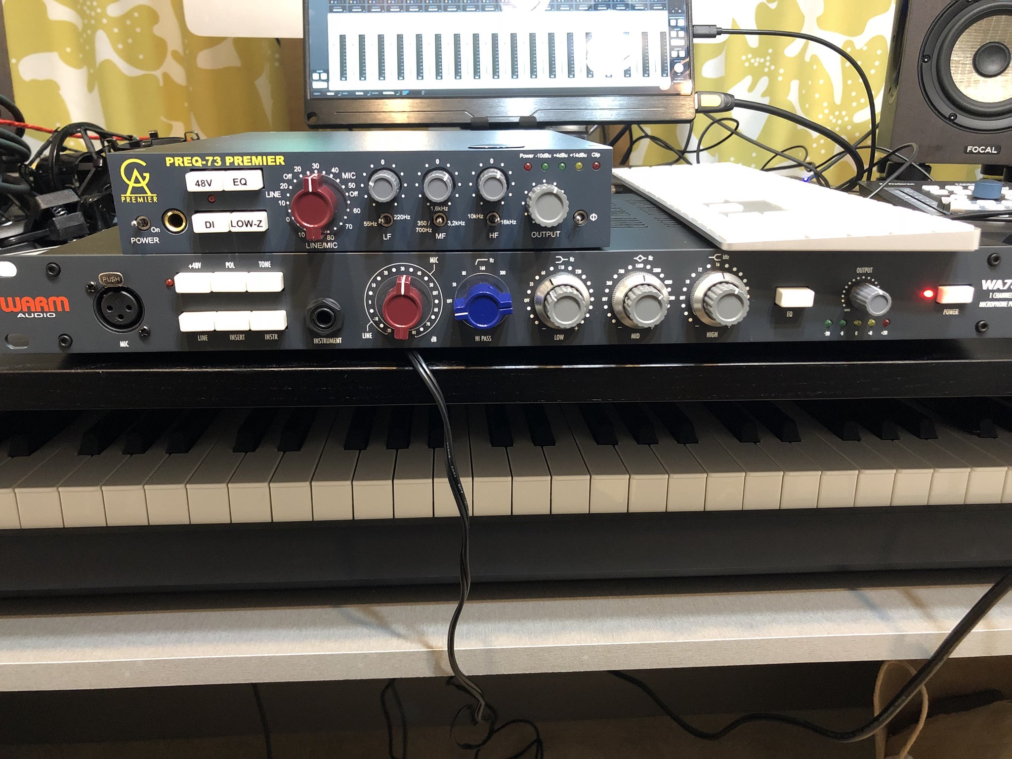 WARM AUDIO WA73-EQ マイクプリアンプ/EQ drahuancavelica.gob.pe