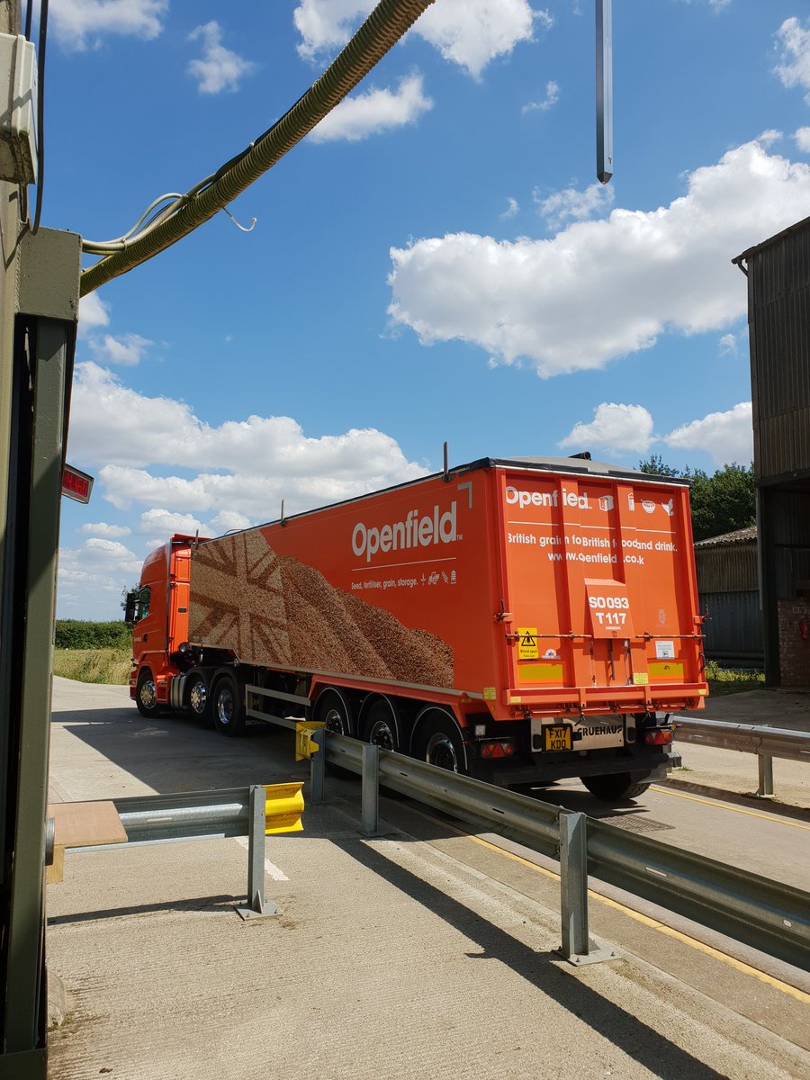 Carrying on the Malting Barley intake this week..  nice to see the blue skies here in Norfolk. Let's hope they hang around🌾🚜  <a href="/OpenfieldTM/">Openfield: More than just grain.</a>