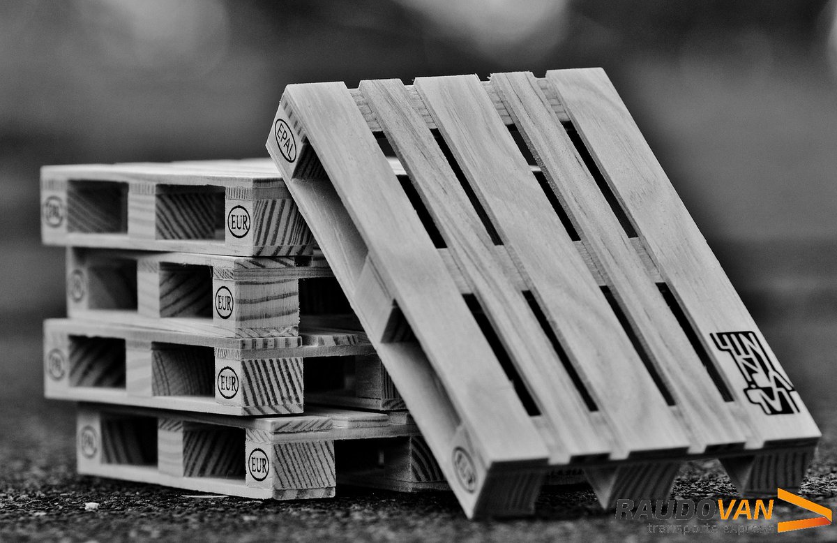 RaudoVan Express tweet media