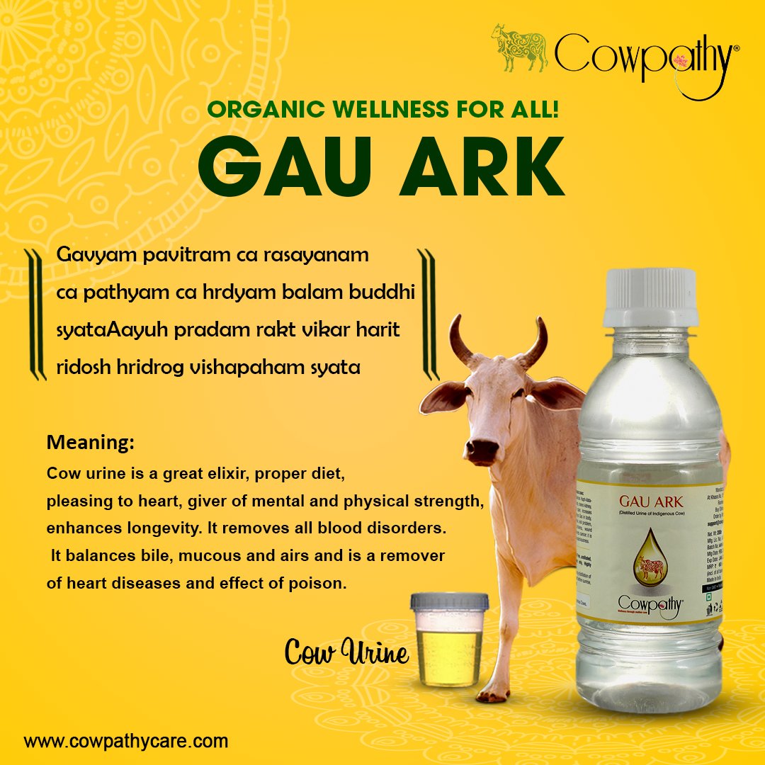 CowpathyCare_'s tweet photo. Gau Ark has a medicinal properties that increases human longevity, &amp; improves health. Get your bottle of organic wellness from #Cowpathy.

#organic #organicproducts #panchgavya #panchagavya https://t.co/6smtFPN24D