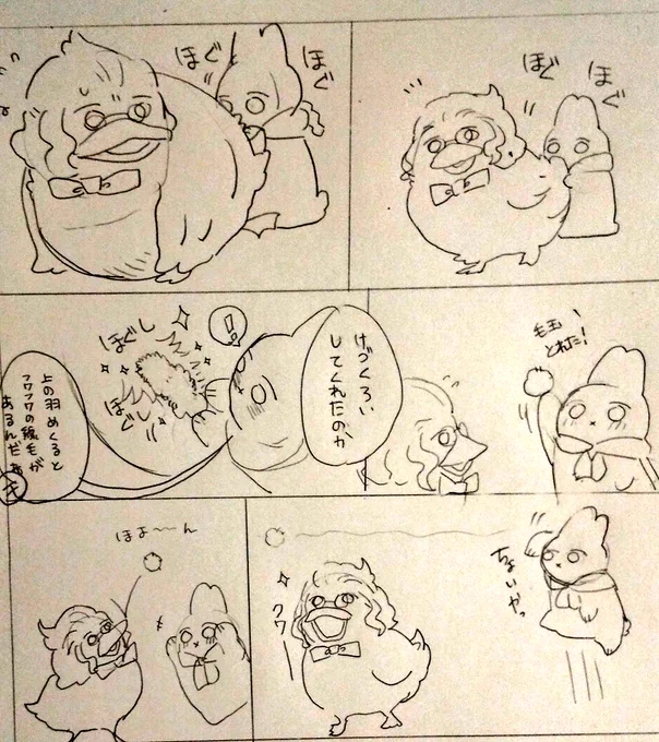 うさモツあひシュ  毛玉 