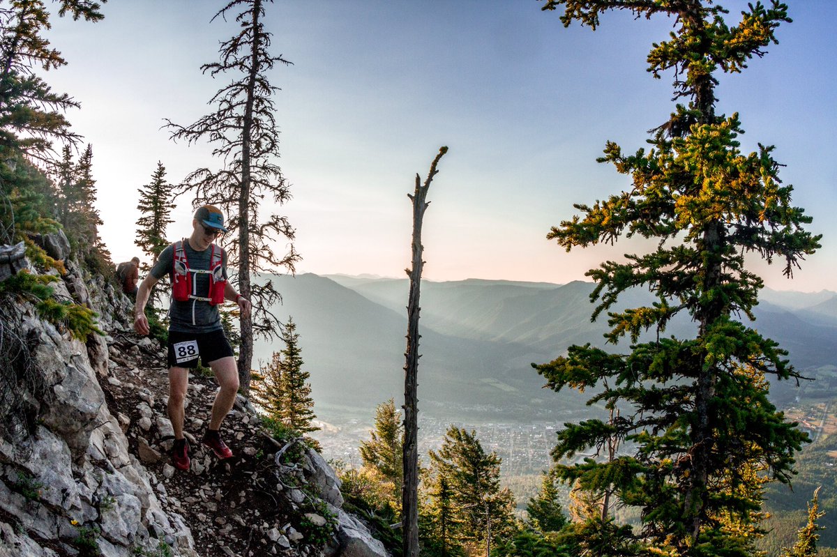 Daniel Wood tweet media