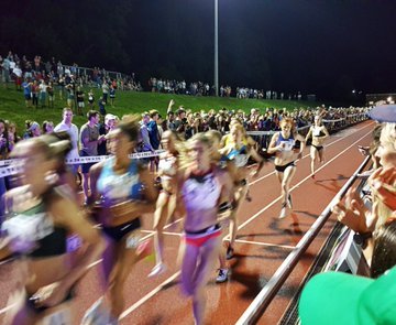 TriangleExplorer tweet media