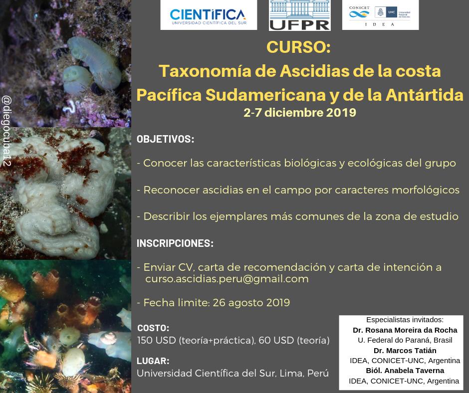 AmbAcuaticosCBA's tweet photo. La carrera de Biología Marina de la Universidad Científica del Sur, en colaboración con especialistas internacionales, ofrece el curso teórico-práctico “Taxonomía de Ascidias de la costa Pacífica Sudamericana y la Antártida” https://t.co/ejH08d22Ak