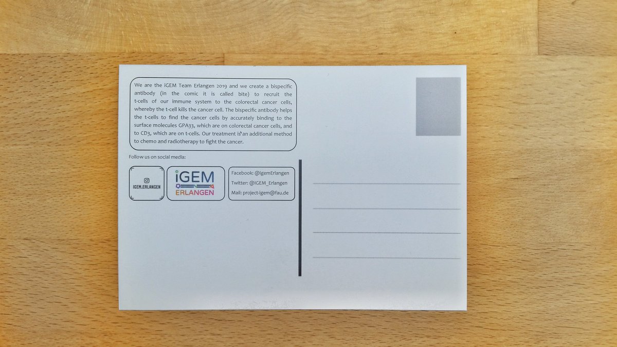 Today our postcards for the collaboration with <a href="/iGEM_HHU/">iGEM Duesseldorf 2024</a> arrived from the print shop and we immediately sent them to you 📦✉ 
We hope you like our design, comment your thoughts about it down below ⏬

#igempostcards2019 #postcard #comic #igem2019 #immunology