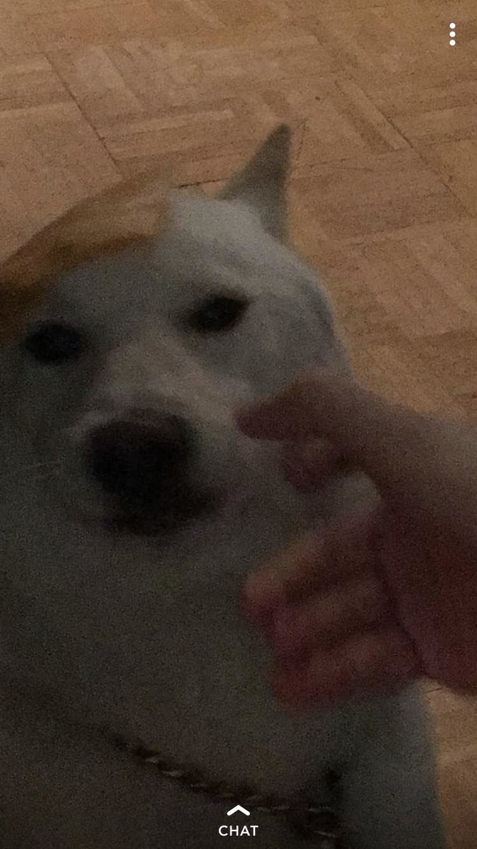 lemonleum's tweet photo. 🤭 https://t.co/i8V2gNt9Df