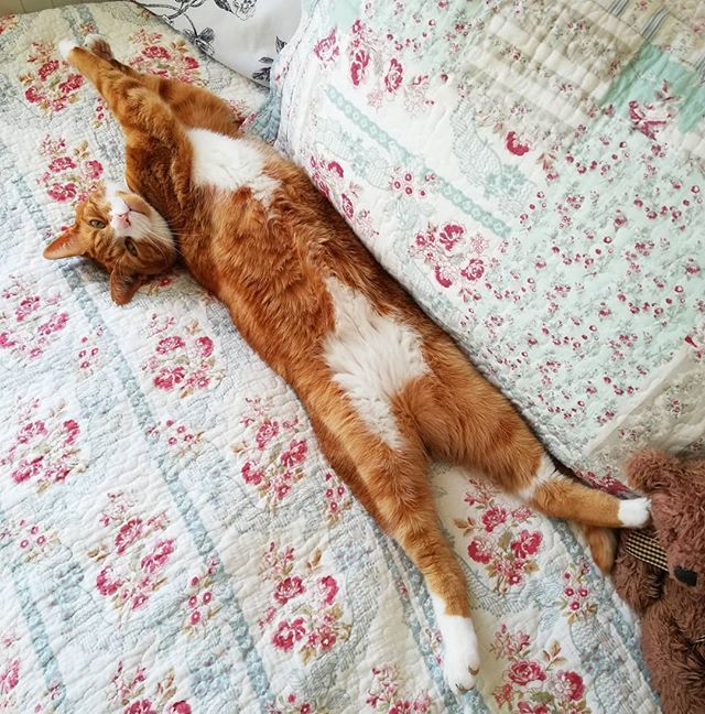 Sam Beament tweet media