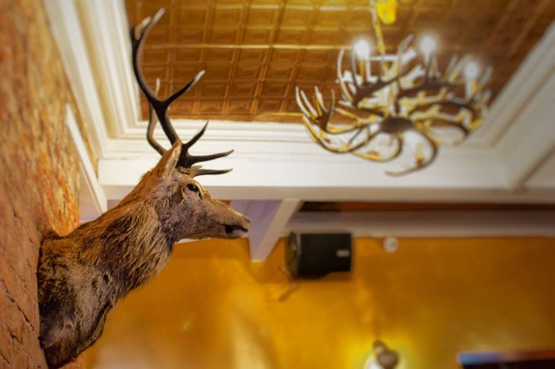 Our upstairs function room has seen 100s of memorable occasions over the years and each one has made the space their own.

There's not much we can't accommodate and with our catering packages, we can keep everyone fed too!

DM for more info