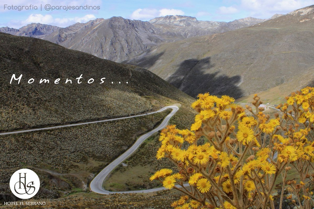 hotel_elserrano's tweet photo. Un hermoso #ecosistema tropical propio de la altura y clima que posee. Carretera #trasandina vía principal del #estadomerida donde podemos disfrutar de #paisajes extraordinarios repleto de amarillas #flores de #frailejon 🌻 #venamerida #conocemerida #visitamerica #FelizLunes https://t.co/4goBwewxf9