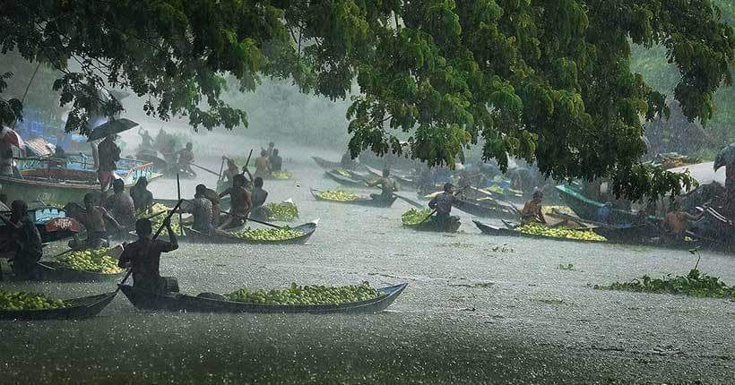 kamalakantNayak's tweet photo. Love to Visit this Place Once...
Anyone Visited?
Beautiful Place surrounded by Nature.
Lush green landscape...Rivers and canals
Picking and Eating Fresh #Guava on #Boat
#Specialreport Coming Soon...
#Floting #Guava #Market
#Jhalakati #Swarupakathi
#Bangladesh https://t.co/rwLctK3Y9l