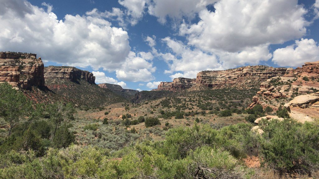 Energy, Illness and Meditation defeatinglymedisease.wordpress.com/2019/07/29/ene…