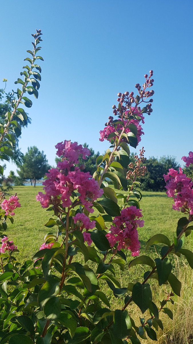 İnsan kalbinde ne taşırsa dünyayı da öyle görür. 
İnsan yüreğinde ne taşıyorsa karşısındakine onu verir.
İnsan aklında ne taşıyorsa hayatına onu katar...