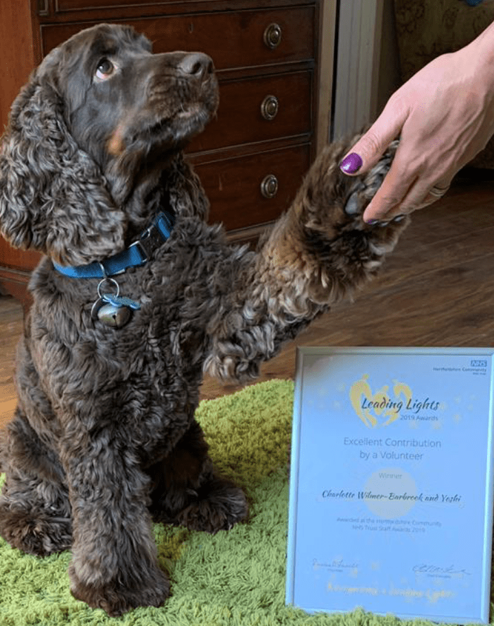 NESSieinEd's tweet photo. Well done Yoshi Bear! https://t.co/0r3u8h75Qe https://t.co/x7PTSD7ucC