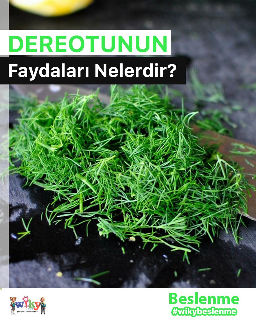 wikygsm's tweet photo. @WikyGsm İle #WikyBeslenme 🥗

❓Dereotunun Faydaları
https://t.co/r8r0REYH3F

Detaylı Bilgi İçin Hemen Bize Ulaşın...
☎ (0216) 348 93 93 🌍 https://t.co/8jPAgw9Su1 https://t.co/9BDUzeDyP0