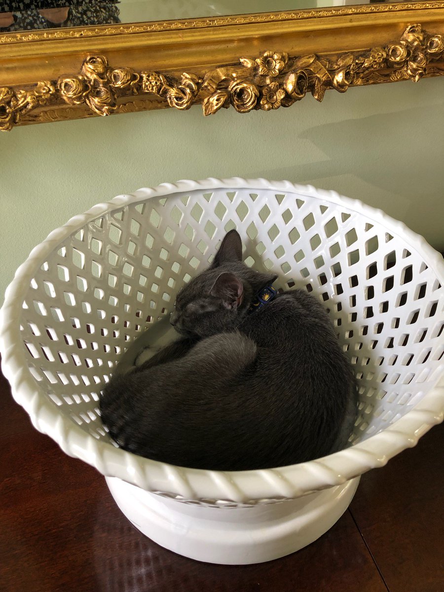 i be lieve i make a Lovely Center Piece